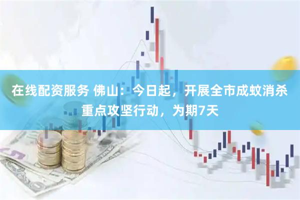 在线配资服务 佛山：今日起，开展全市成蚊消杀重点攻坚行动，为期7天