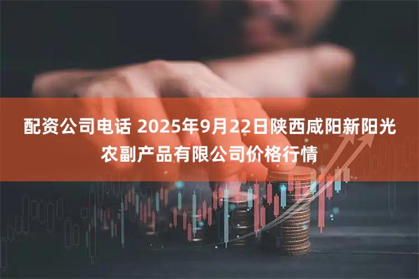 配资公司电话 2025年9月22日陕西咸阳新阳光农副产品有限公司价格行情