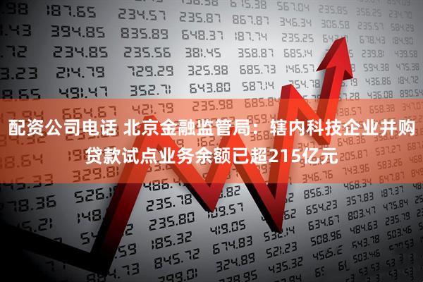 配资公司电话 北京金融监管局：辖内科技企业并购贷款试点业务余额已超215亿元